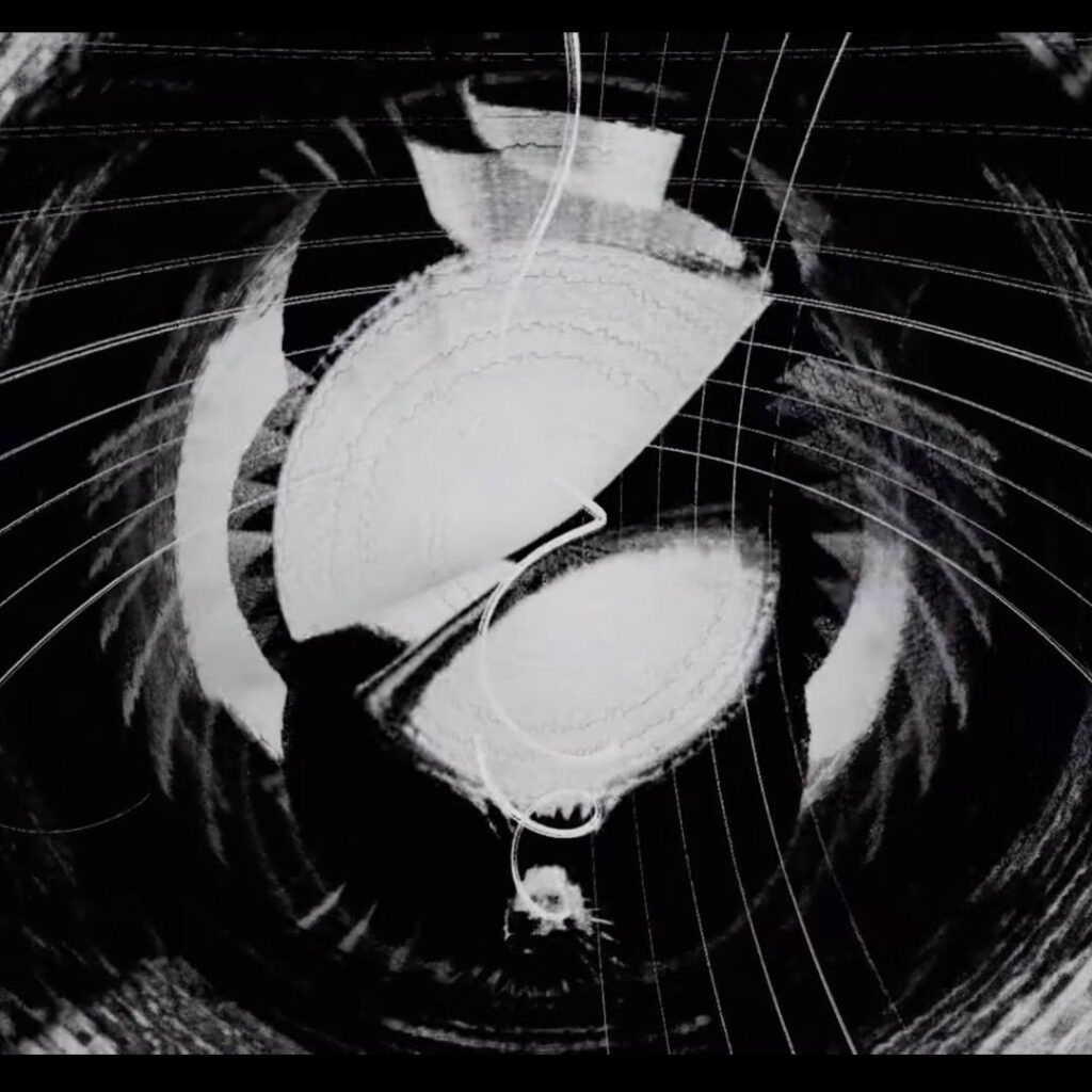 Artwork Description (not more than 300 words)